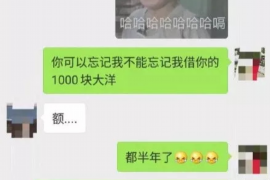 莘县莘县的要账公司在催收过程中的策略和技巧有哪些？